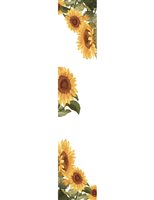 Orologio Camurria Donna in Acciaio placcato oro giallo CW37GT3 - CW37GT3